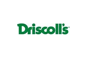 Driscolls Berries